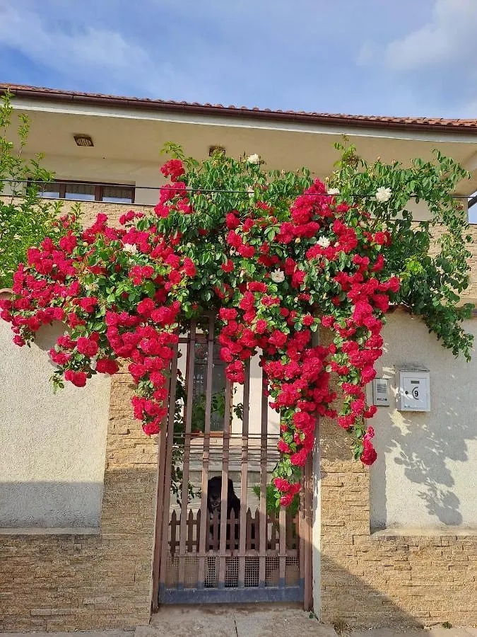 Casa Verde 1 Бухарест 0*,  Румыния
